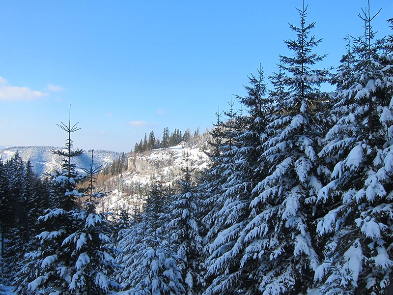 Kuhschneeberg